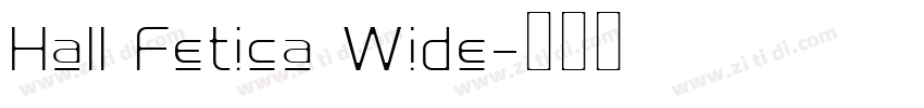 Hall Fetica Wide字体转换